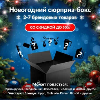 Новогодний сюрприз-бокс HIWATCH 2